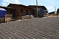 668_Ethiopia_South_Coffee