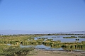 769_Ethiopia_South_Nechi_Sar_NP