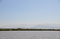 784_Ethiopia_South_Nechi_Sar_NP
