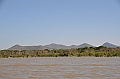 785_Ethiopia_South_Nechi_Sar_NP