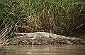 789_Ethiopia_South_Nechi_Sar_NP