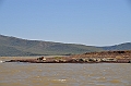 798_Ethiopia_South_Nechi_Sar_NP