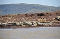 799_Ethiopia_South_Nechi_Sar_NP