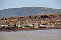 803_Ethiopia_South_Nechi_Sar_NP