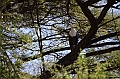 807_Ethiopia_South_Nechi_Sar_NP