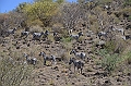 828_Ethiopia_South_Nechi_Sar_NP