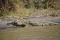 830_Ethiopia_South_Nechi_Sar_NP