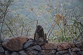 840_Ethiopia_South