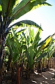 844_Ethiopia_South_Dorze_Village