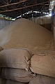 862_Ethiopia_South_Coffee