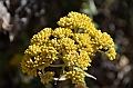 897_Ethiopia_South