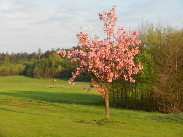 Golfclub_Herrnhof_24_April_2011_Photo018.JPG