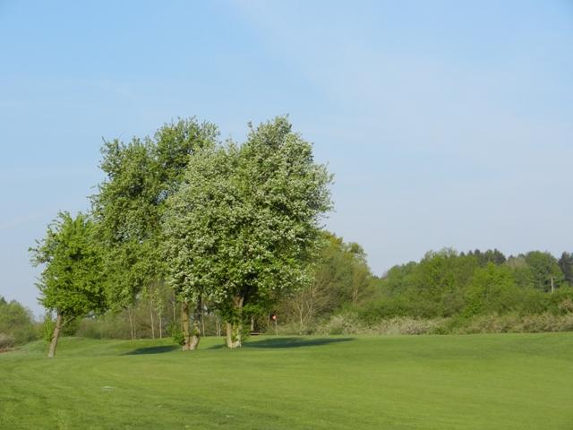 Golfclub_Herrnhof_24_April_2011_Photo042.JPG