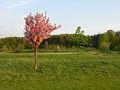 Golfclub_Herrnhof_24_April_2011_Photo009