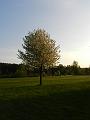 Golfclub_Herrnhof_24_April_2011_Photo012