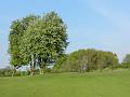 Golfclub_Herrnhof_24_April_2011_Photo043