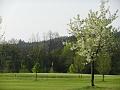Golfclub_Herrnhof_24_April_2011_Photo060