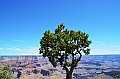 39_Grand_Canyon