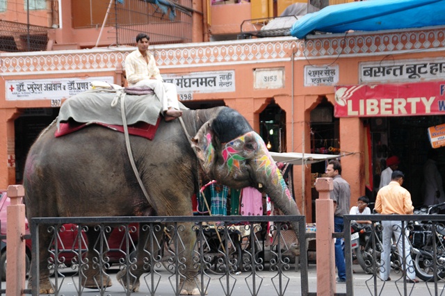 052_India_Jaipur.JPG