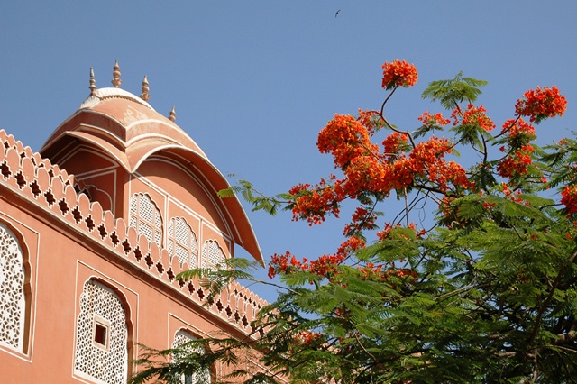 081_India_Jaipur.JPG