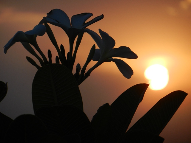 129_India_Jaipur_Sunset.JPG - 
