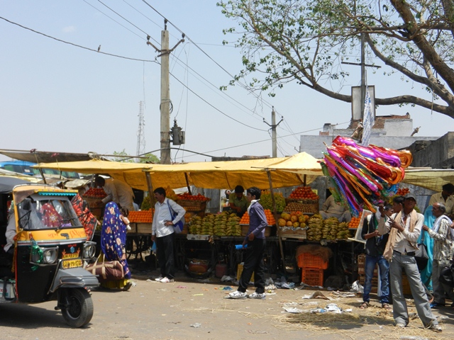 150_India.JPG - 