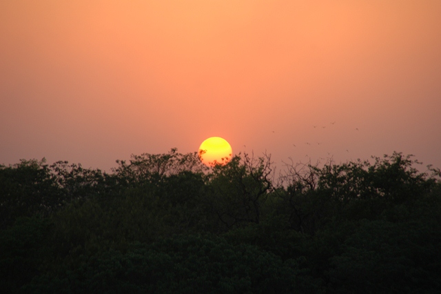 476_India_Alipura_Sunset.JPG