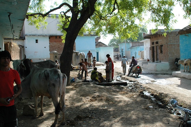 478_India_Alipura.JPG