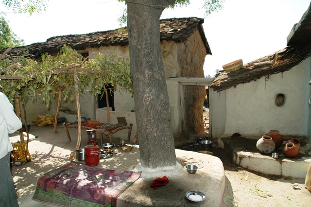 481_India_Alipura.JPG
