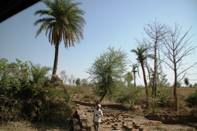 488_India_Alipura.JPG