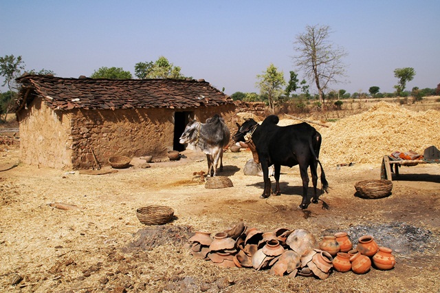 490_India_Alipura.JPG