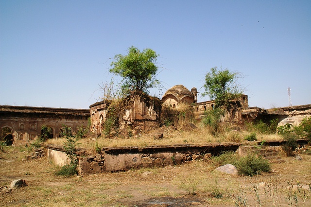 494_India_Alipura.JPG