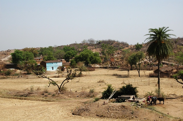 495_India_Alipura.JPG