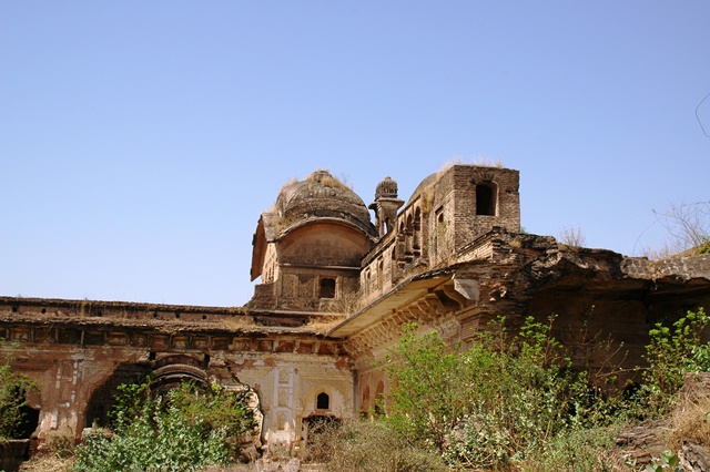 499_India_Alipura.JPG