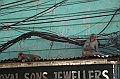 005_India_New_Delhi