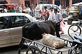 048_India_Jaipur