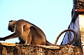182_India_Bhandarej