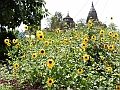 361_India_Orchha_Hotel