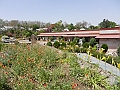 362_India_Orchha_Hotel