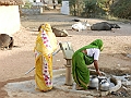 402_India_Alipura