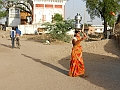 403_India_Alipura