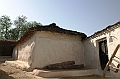 477_India_Alipura
