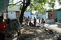 478_India_Alipura