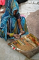 480_India_Alipura