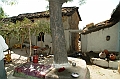 481_India_Alipura