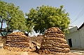 482_India_Alipura