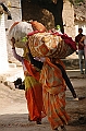 484_India_Alipura