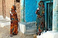 485_India_Alipura