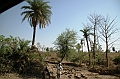 488_India_Alipura