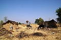 489_India_Alipura